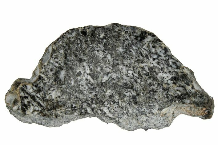 Polished Lunar Meteorite ( g) Slice - Ash Shaqqah #355998